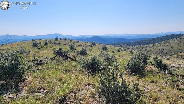 TBDL 32nd Trail, Cotopaxi, CO 81223 - photo 5
