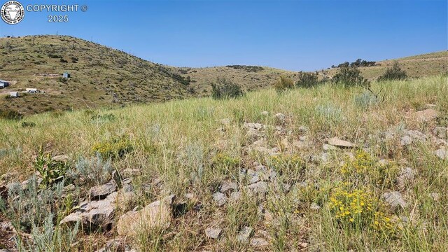 TBDL 32nd Trail, Cotopaxi, CO 81223 - photo 4