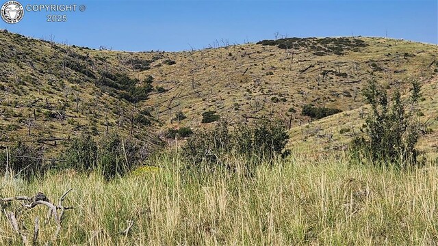 TBDL 32nd Trail, Cotopaxi, CO 81223 - photo 2