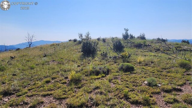 TBDL 32nd Trail, Cotopaxi, CO 81223 - photo 10