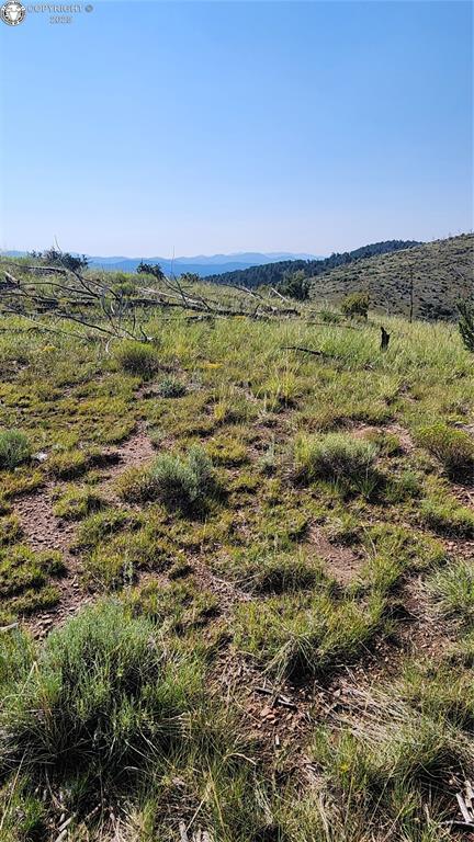 TBDL 32nd Trail, Cotopaxi, CO 81223 - photo 17