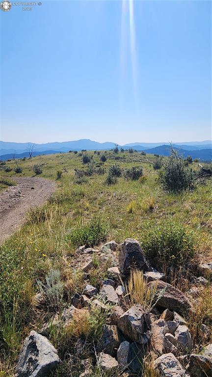 TBDL 32nd Trail, Cotopaxi, CO 81223 - photo 13