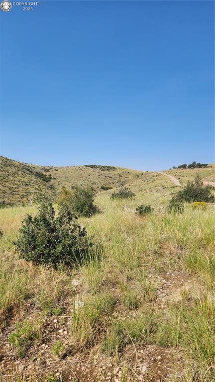 TBDL 32nd Trail, Cotopaxi, CO 81223 - photo 3