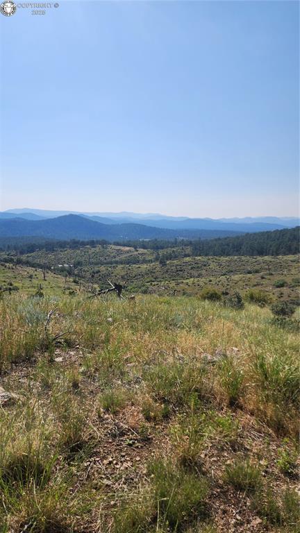 TBDL 32nd Trail, Cotopaxi, CO 81223 - photo 9