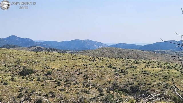TBDL 32nd Trail, Cotopaxi, CO 81223 - photo 15