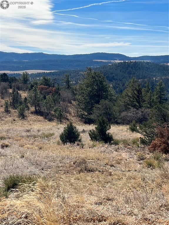 LOT35 Autumn Creek Dr, Canon City, CO 81212 - photo 4