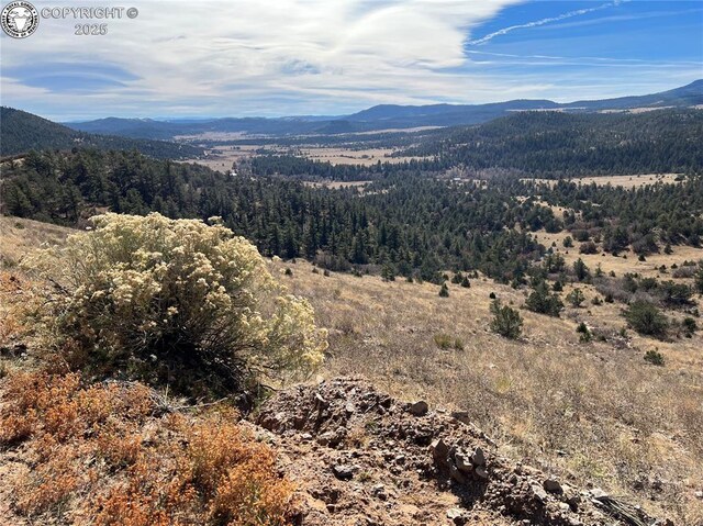 LOT35 Autumn Creek Dr, Canon City, CO 81212 - photo 7