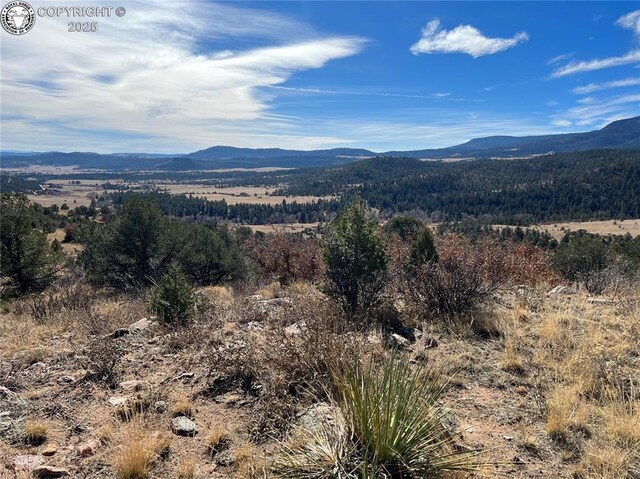 LOT35 Autumn Creek Dr, Canon City, CO 81212 - photo 11