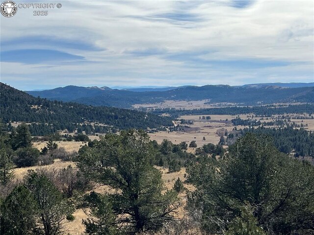 LOT35 Autumn Creek Dr, Canon City, CO 81212 - photo 18