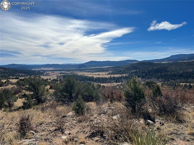 LOT35 Autumn Creek Dr, Canon City, CO 81212 - photo 13