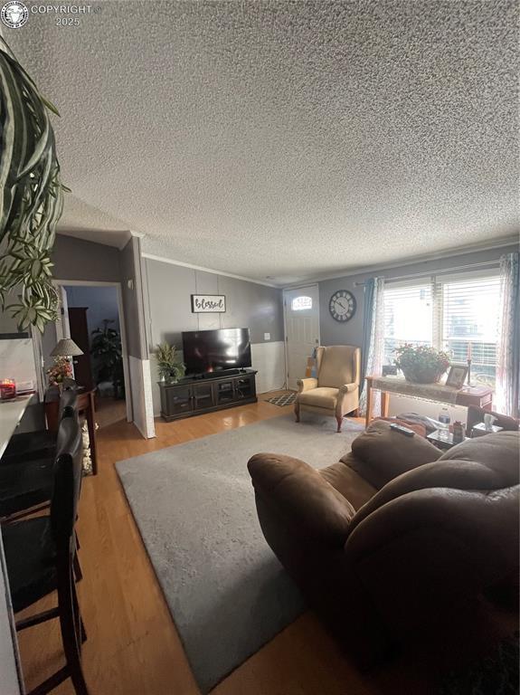 living room with ornamental molding, vaulted ceiling, light hardwood / wood-style flooring, and a textured ceiling