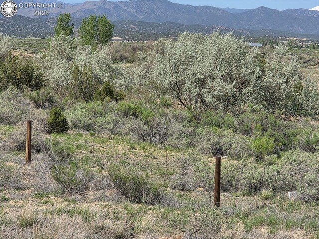 2 8th St, Penrose, CO 81240 - photo 15