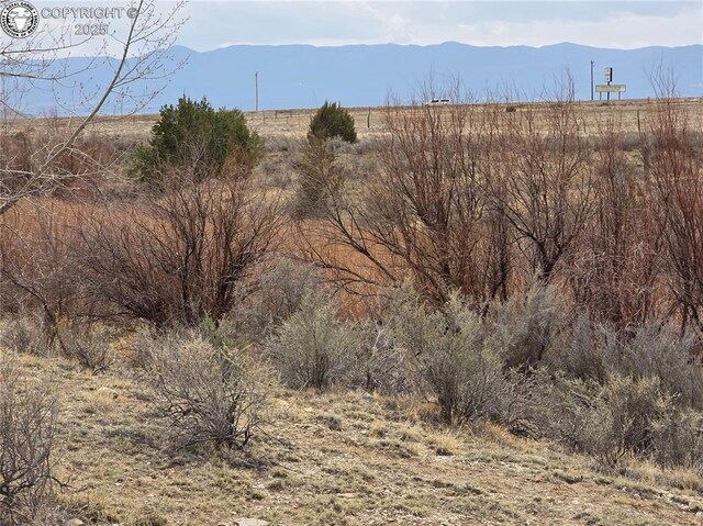 2 8th St, Penrose, CO 81240 - photo 13