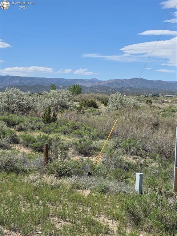 2 8th St, Penrose, CO 81240 - photo 10