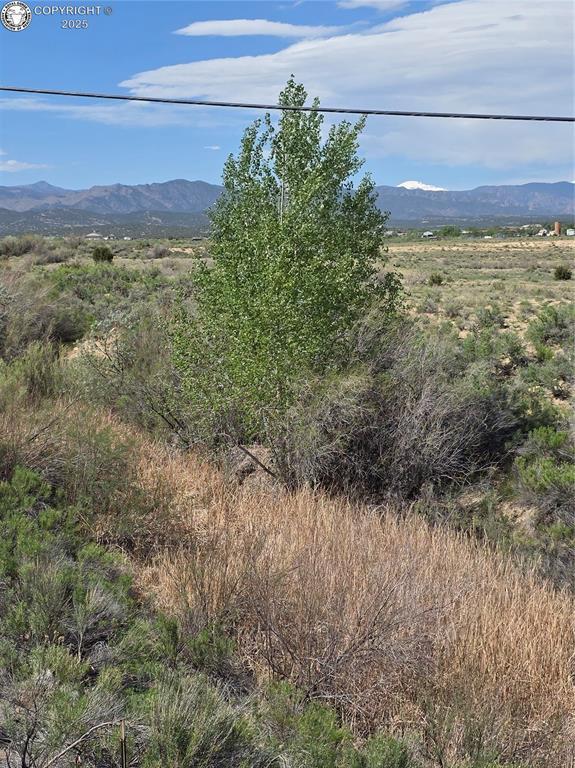 2 8th St, Penrose, CO 81240 - photo 2