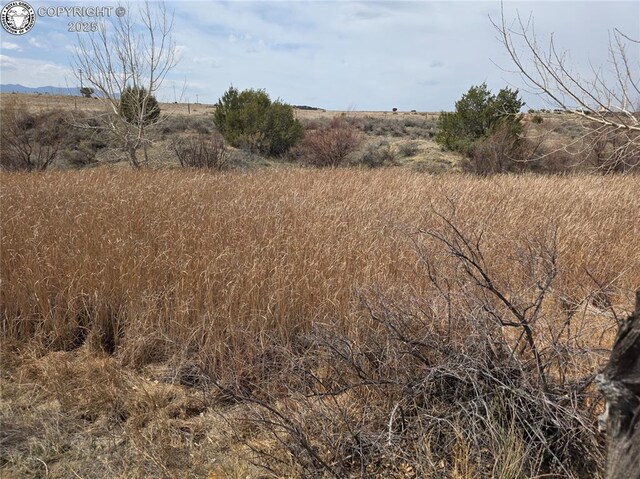 2 8th St, Penrose, CO 81240 - photo 26