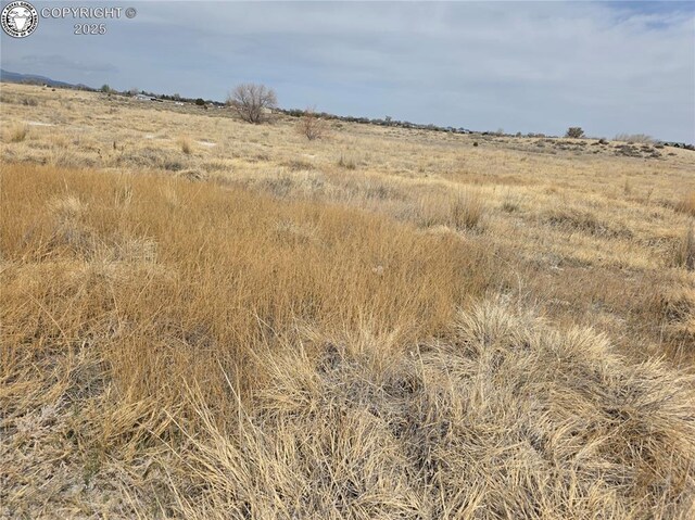 2 8th St, Penrose, CO 81240 - photo 28