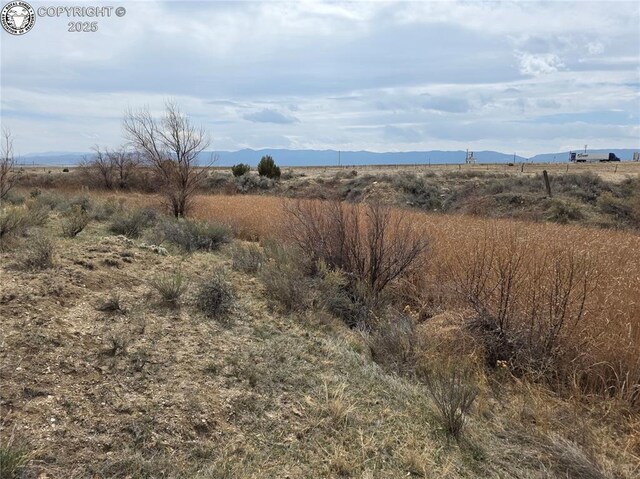 2 8th St, Penrose, CO 81240 - photo 16