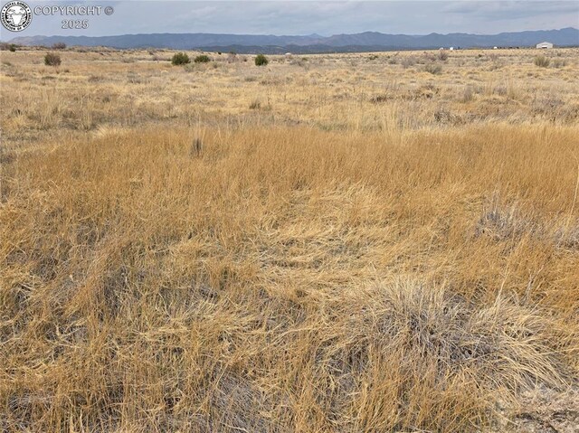 2 8th St, Penrose, CO 81240 - photo 19