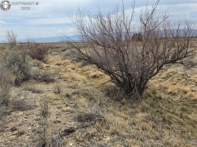 2 8th St, Penrose, CO 81240 - photo 29