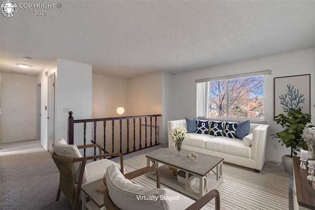 420 6th Ter, Florence, CO 81226 - living room with carpet flooring and a textured ceiling