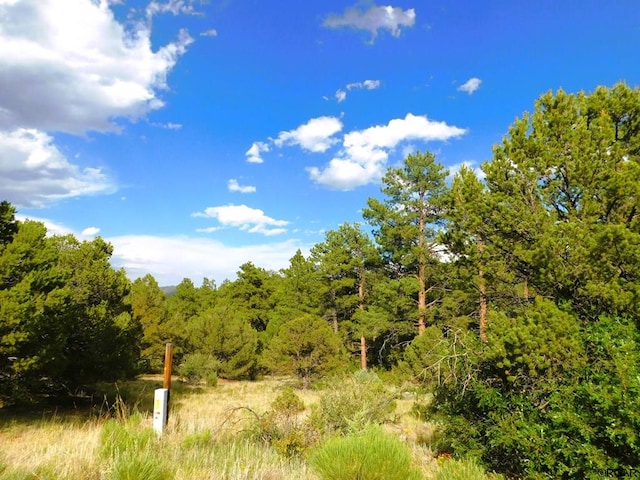 Listing photo 2 for TBDLOT5 Bella Vista Dr, Westcliffe CO 81252