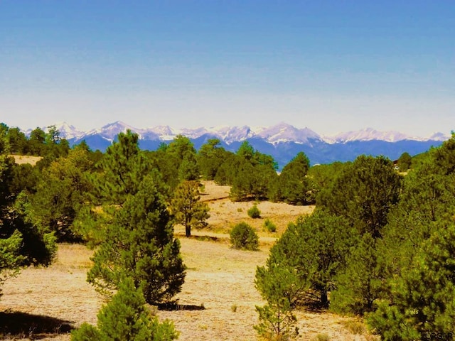 TBDLOT5 Bella Vista Dr, Westcliffe CO, 81252 land for sale