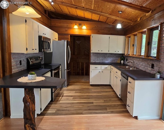 21501 Chalk Creek Dr, Nathrop, CO 81236 - kitchen featuring light wood finished floors, wood ceiling, a sink, dark countertops, and stainless steel appliances
