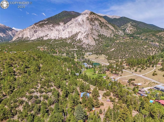 21501 Chalk Creek Dr, Nathrop, CO 81236 - mountain view