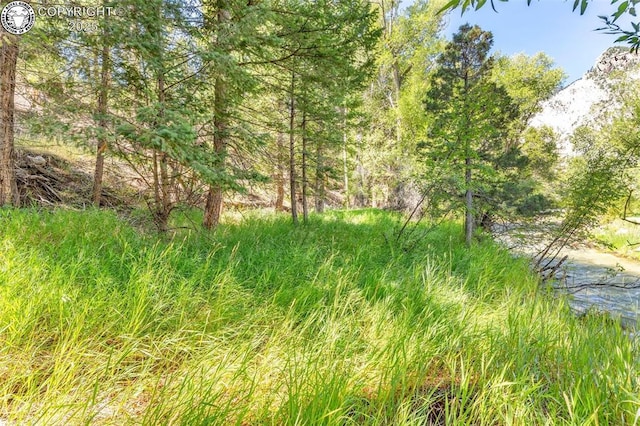21501 Chalk Creek Dr, Nathrop, CO 81236 - view of nature
