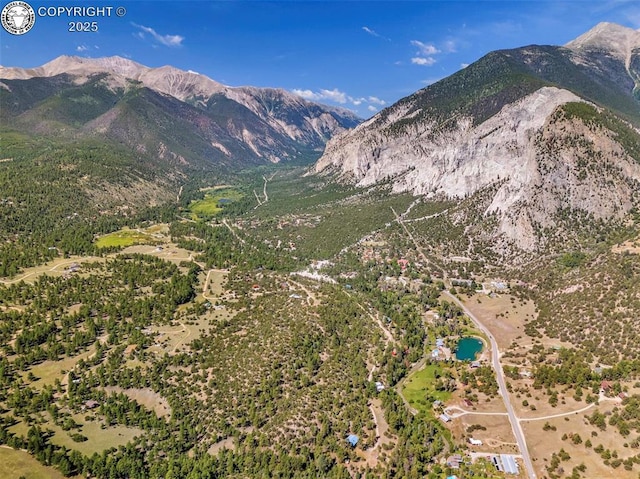 21501 Chalk Creek Dr, Nathrop, CO 81236 - view of mountain feature