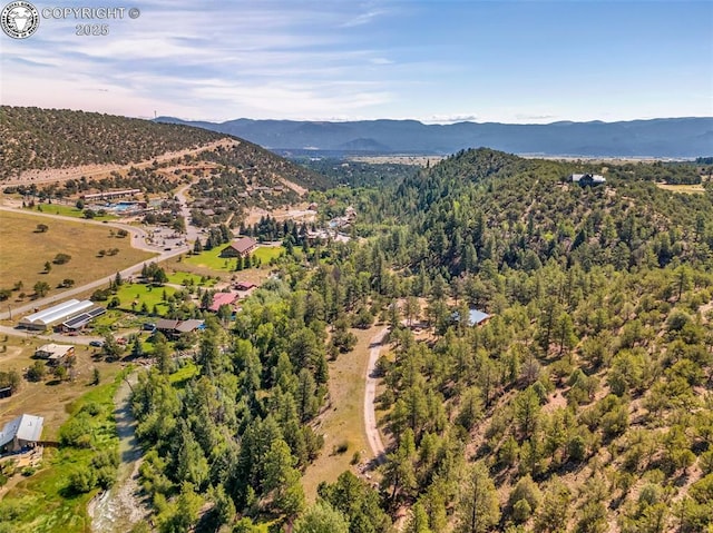 21501 Chalk Creek Dr, Nathrop, CO 81236 - birds eye view of property with a mountain view and a view of trees