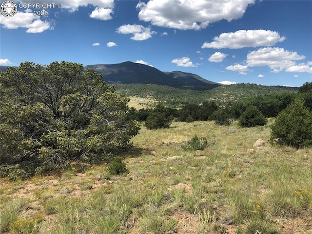 Listing photo 3 for LOT15 Rosebush Rd, Canon City CO 81212