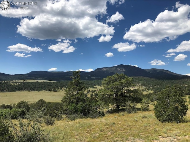 LOT15 Rosebush Rd, Canon City CO, 81212 land for sale