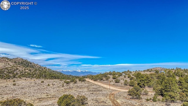 820 Little Horn Dr, Westcliffe, CO 81252 - photo 30