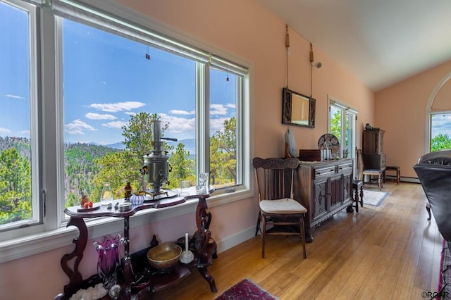 sitting room featuring plenty of natural light, vaulted ceiling, and light hardwood / wood-style flooring