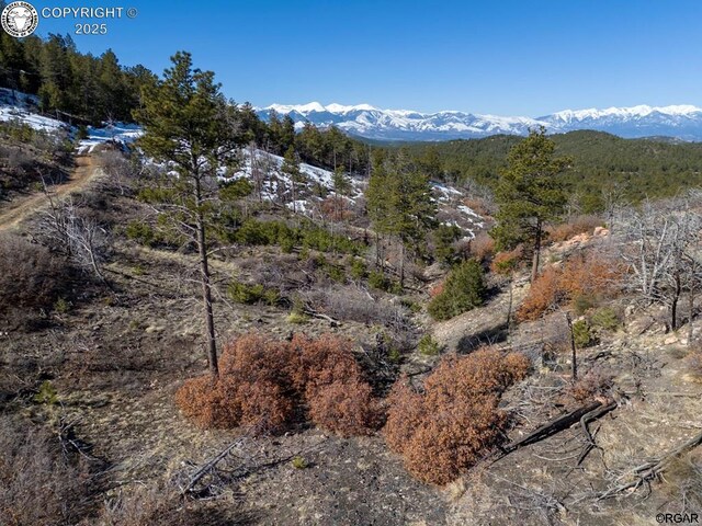 50 Cottonwood Dr, Cotopaxi, CO 81223 - photo 4