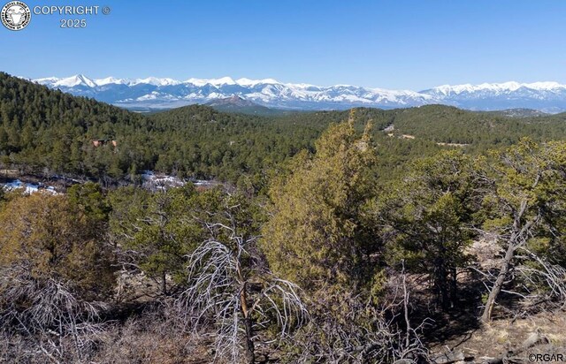 50 Cottonwood Dr, Cotopaxi, CO 81223 - photo 5