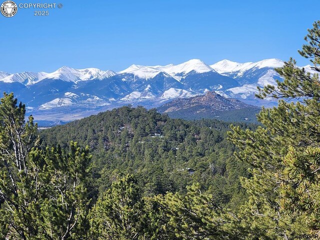 50 Cottonwood Dr, Cotopaxi, CO 81223 - photo 1