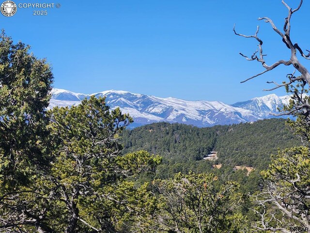 50 Cottonwood Dr, Cotopaxi, CO 81223 - photo 3