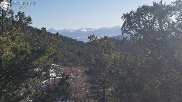 50 Cottonwood Dr, Cotopaxi, CO 81223 - photo 8