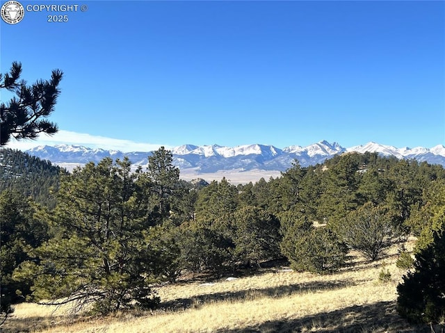 1104 Matterhorn Cir, Westcliffe CO, 81252 land for sale