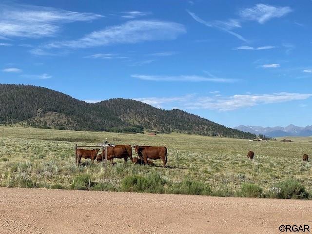 TBD Eagles Gate Rd, Westcliffe, CO 81252 - photo 4