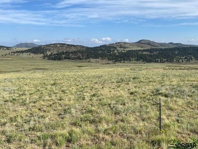 TBD Eagles Gate Rd, Westcliffe, CO 81252 - photo 8