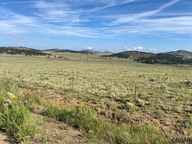 TBD Eagles Gate Rd, Westcliffe, CO 81252 - photo 10