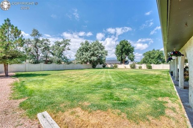 1942 Pinion Ave, Canon City, CO 81212 - photo 33