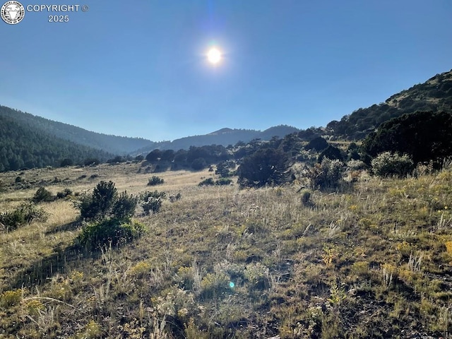 TBD Tallahassee Trail, Canon City, CO 81212