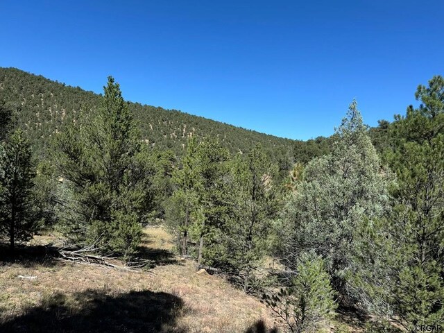 LOT9 Sundance Rd, Cotopaxi, CO 81223