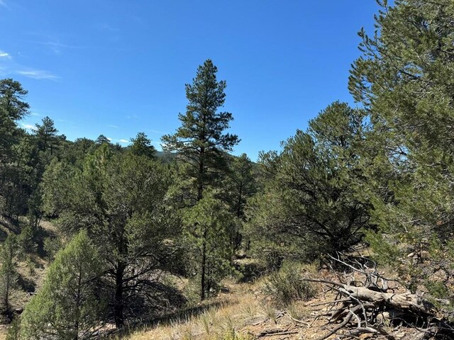 LOT9 Sundance Rd, Cotopaxi, CO 81223