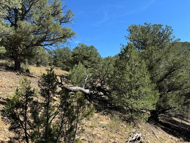 LOT9 Sundance Rd, Cotopaxi, CO 81223